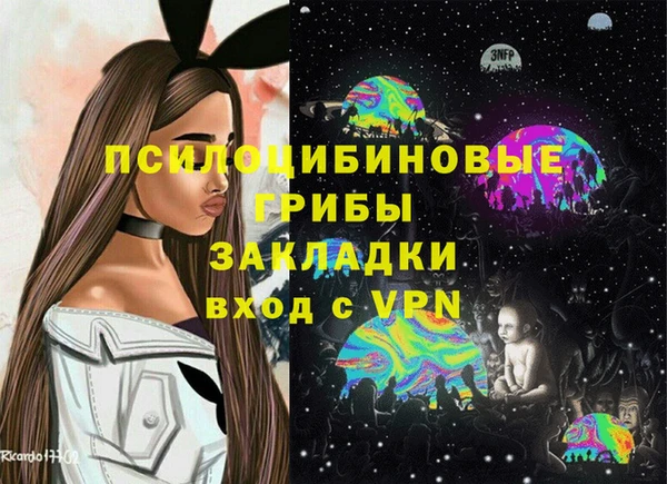 трава Арсеньев