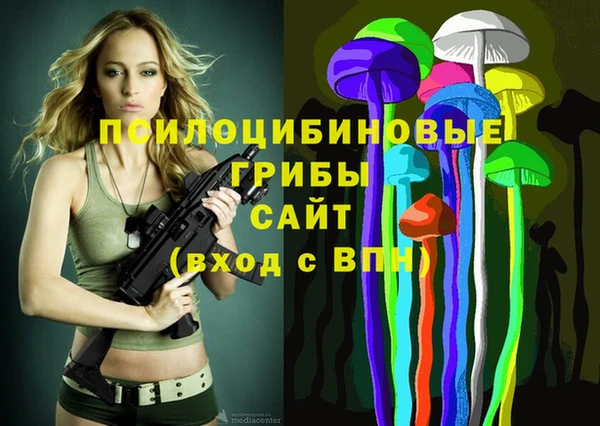 трава Арсеньев
