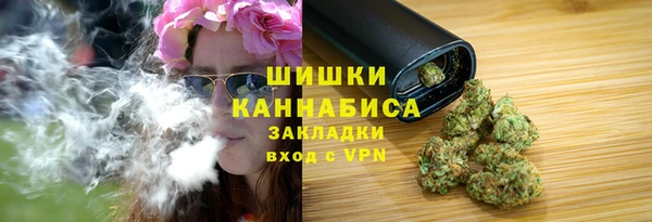 трава Аркадак