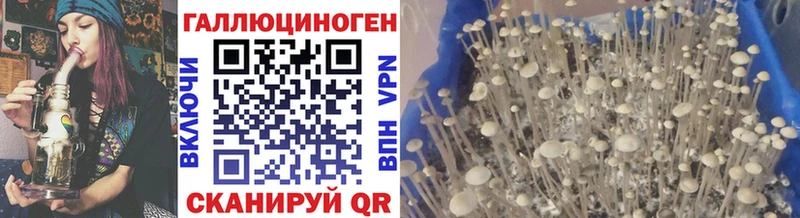 Купить закладки  Обь  Галлюциногенные грибы ЛСД 